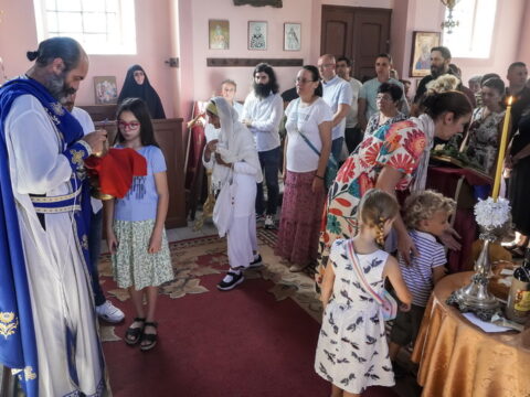 DSC04384_resize