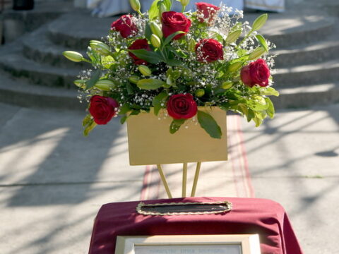 DSC_7440_resize