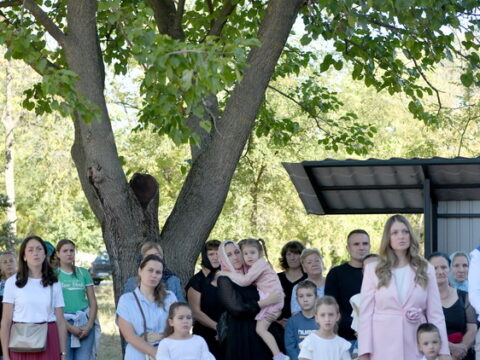DSC_7450_resize
