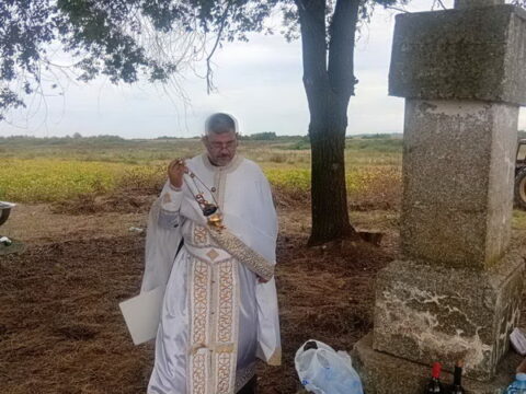 IMG-07f1cfaf211cd01cfd0f9a3f4d2df1a3-V_resize