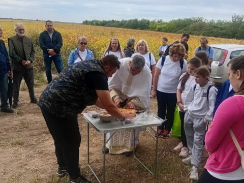 IMG-0858d3f78a4dc830d67e759523fcea78-V_resize