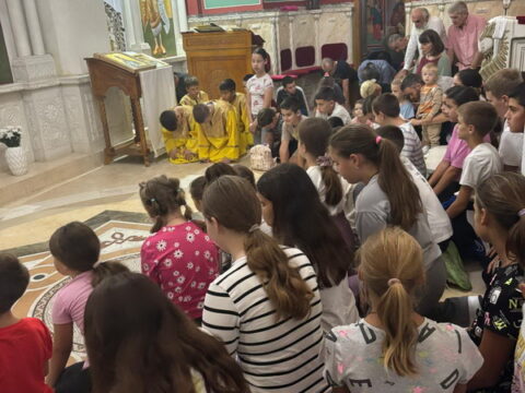 IMG-1767455170670438d61df6a6931f8419-V_resize