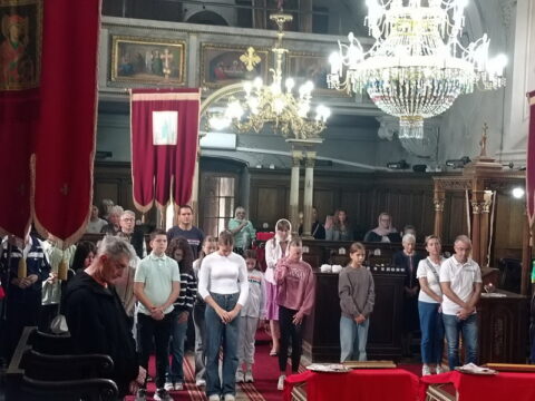 IMG-218213e1baf4453aac8530e6899c4d11-V_resize