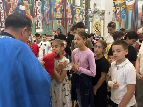 IMG-2659b3be56ebef628b46d541a89e23ac-V_resize