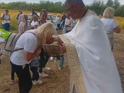 IMG-286928ce02bb7feccce412bd5b4b67a4-V_resize