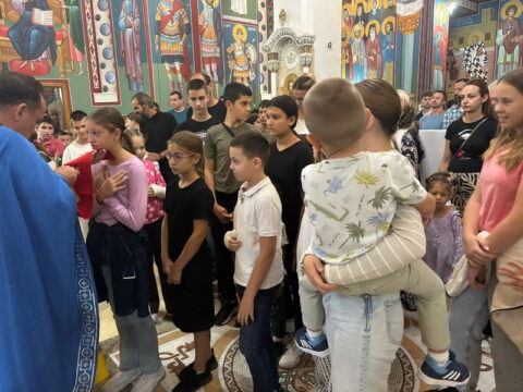 IMG-2cb07df5b2ff46f4ba90be4f35446456-V_resize