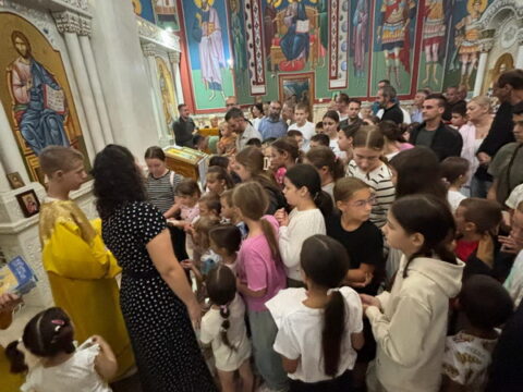 IMG-4b54e781bb72cec3177018ad8f055eb8-V_resize