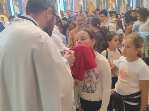 IMG-59ca00e9123a4558457f017326df78ce-V_resize