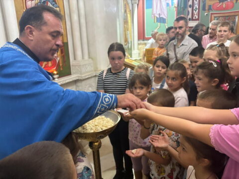 IMG-5b1dc88a4caed871fab795e835c5331d-V_resize