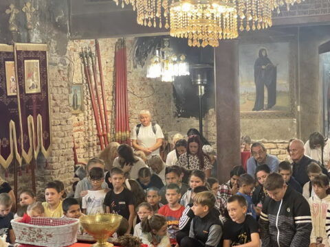 IMG-5d1b7000d3d58730e6fced8ec116784f-V_resize