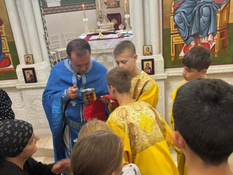 IMG-5d4f378a5a5b712aa19c344e7956424e-V_resize