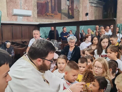 IMG-68b34d5af5961ce0efee5529466ea866-V_resize