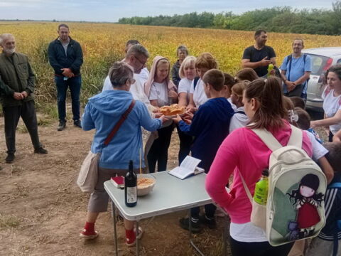 IMG-6c6df51d008172eeab21b3ccce18835b-V_resize