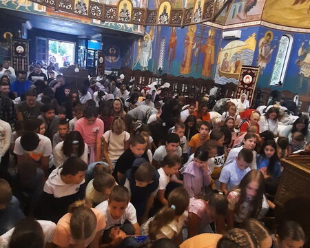 IMG-771f47c2ff0853381d2d9bc45169e350-V_resize