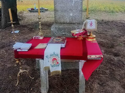 IMG-783acb92b2d94df76746c024f7116588-V_resize