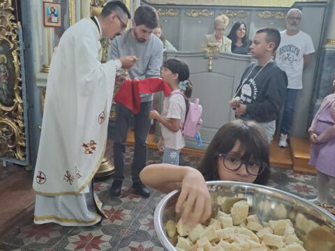 IMG-807ec344f85e0e60988550f95691674e-V_resize