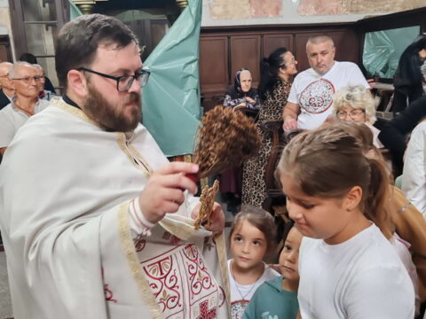 IMG-9500662e97ae2cdd3b6f71825f6cd63d-V_resize