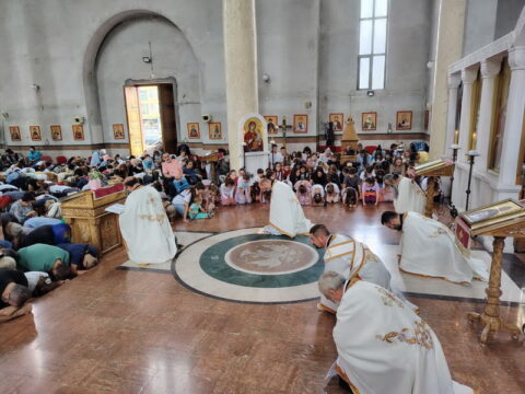 IMG-a5d18b1783a64cc8330d08b81ecbb7e4-V_resize