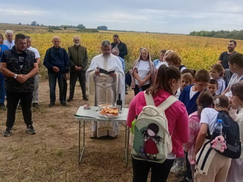 IMG-a94287d4f475391187d4e359b43413ac-V_resize