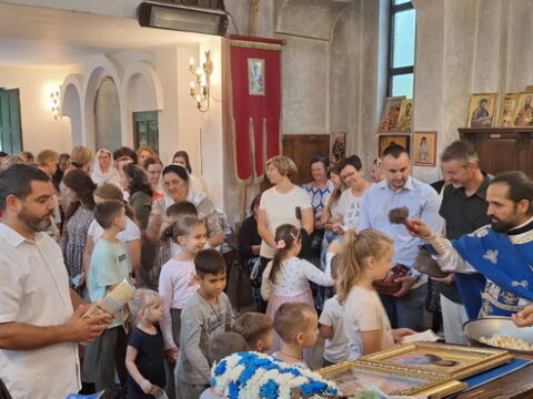 IMG-abbbc90aaa8c43724ae7c020c47bad49-V_resize