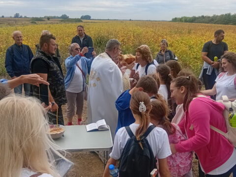 IMG-bd07ea9f4ffee403c9081ca336aaa013-V_resize