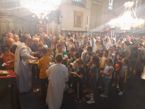 IMG-bdd5b8838864543069a0e255c7152fd8-V_resize