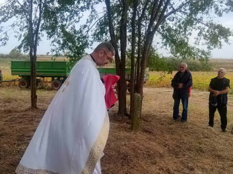 IMG-c33e07f54351fd866f481ef2d068a5e4-V_resize