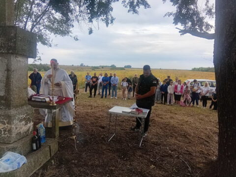 IMG-c471fac653eeabf1002fdc1901f9c93a-V_resize