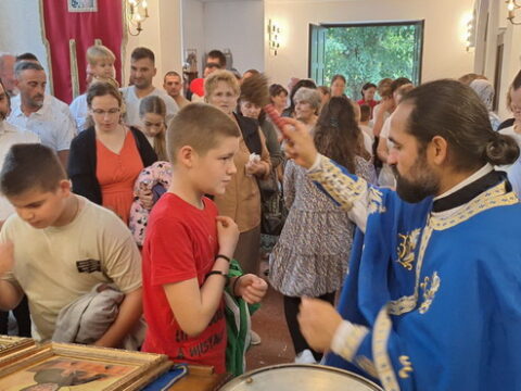 IMG-dd3b556f67d342a896d252e0adea1b41-V_resize