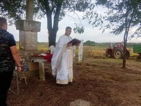 IMG-ea27259f5d4a9038e4069a26b8ae7af1-V_resize