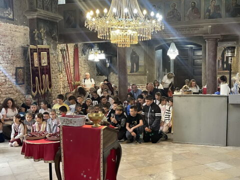 IMG-f1fa996dae04cfc580f3305e618d64bd-V_resize