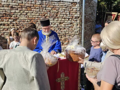 IMG-f29f6e10ed07a57c97a1bb4d4dbf9a63-V_resize