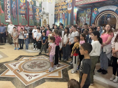 IMG-f448738db666c8a4147c25b82c0acc92-V_resize