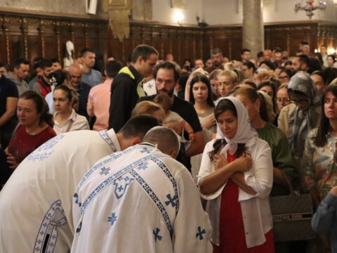 IMG_2023_resize