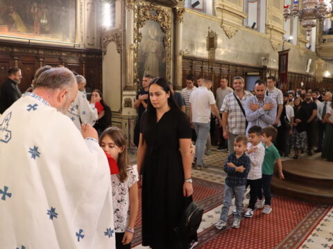 IMG_2024_resize