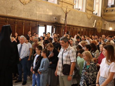 IMG_2050_resize