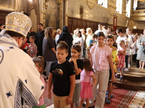 IMG_2124_resize