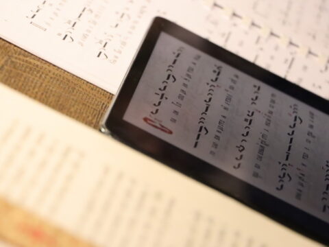 IMG_2239_resize