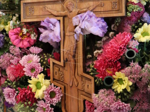 IMG_2259_resize