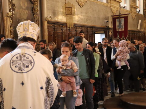 IMG_2320_resize