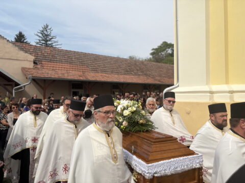 image00043_resize