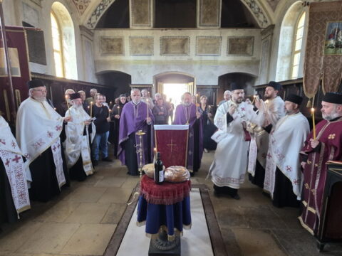 viber_image_2025-09-01_19-04-39-966_resize