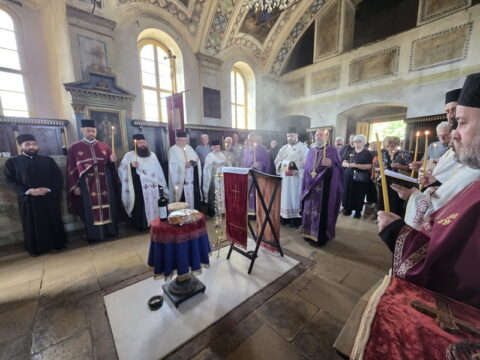 viber_image_2025-09-01_19-05-28-965_resize