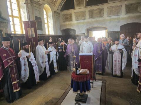 viber_image_2025-09-01_19-05-31-147_resize