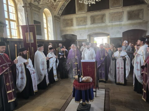 viber_image_2025-09-01_19-05-32-493_resize