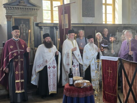 viber_image_2025-09-01_19-05-36-421_resize