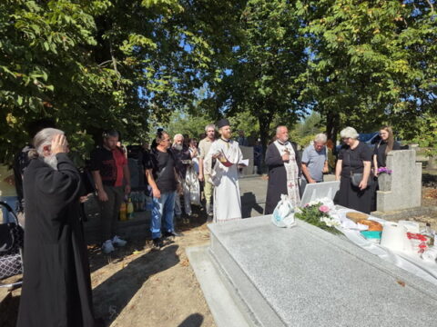 viber_image_2025-09-01_19-05-37-949_resize