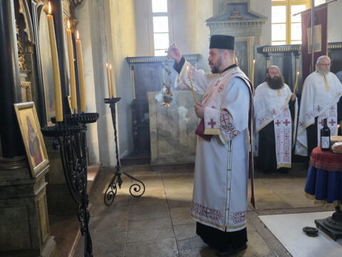 viber_image_2025-09-01_19-05-38-646_resize