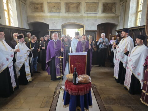 viber_image_2025-09-01_19-05-40-204_resize