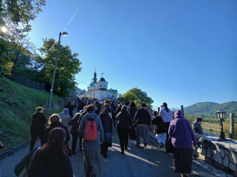 1000005368_resize